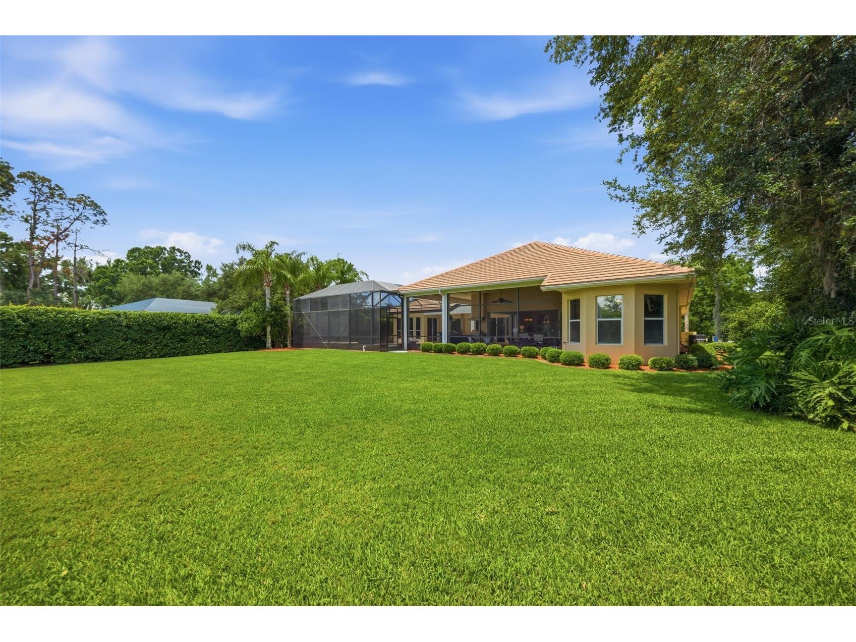 9409 Tree Tops Lake Road Tampa FL 33626 TB8510127 image61