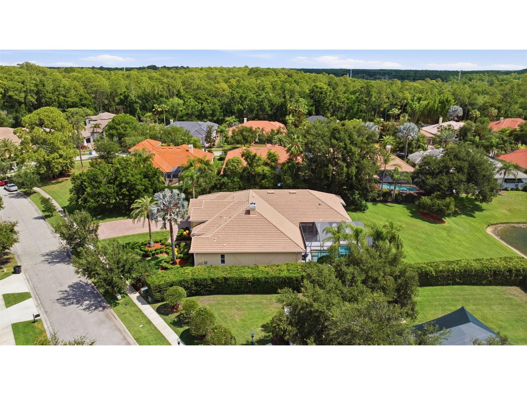9409 Tree Tops Lake Road Tampa FL 33626 TB8510127 image81