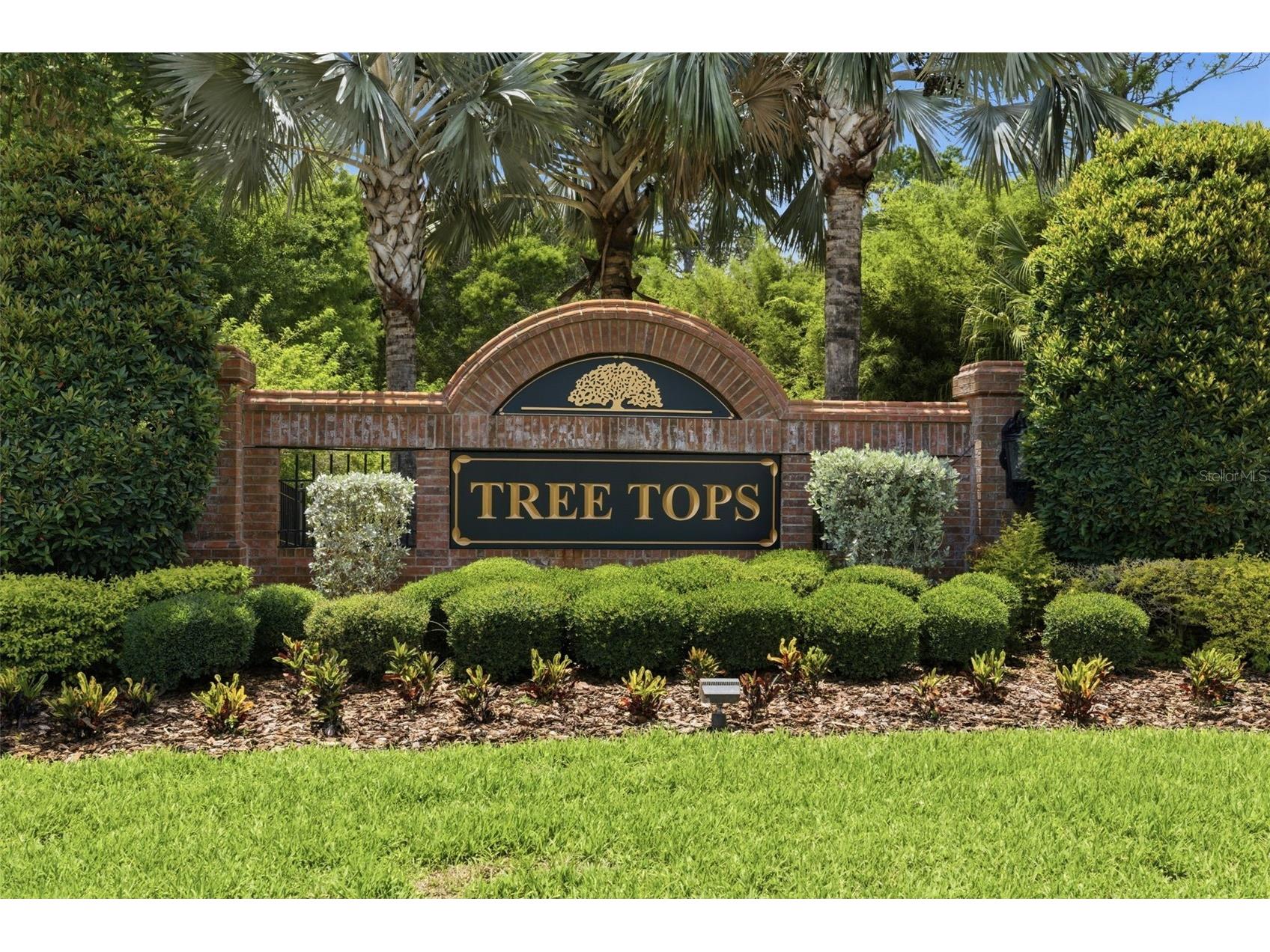 9409 Tree Tops Lake Road Tampa FL 33626 TB8510127 image89