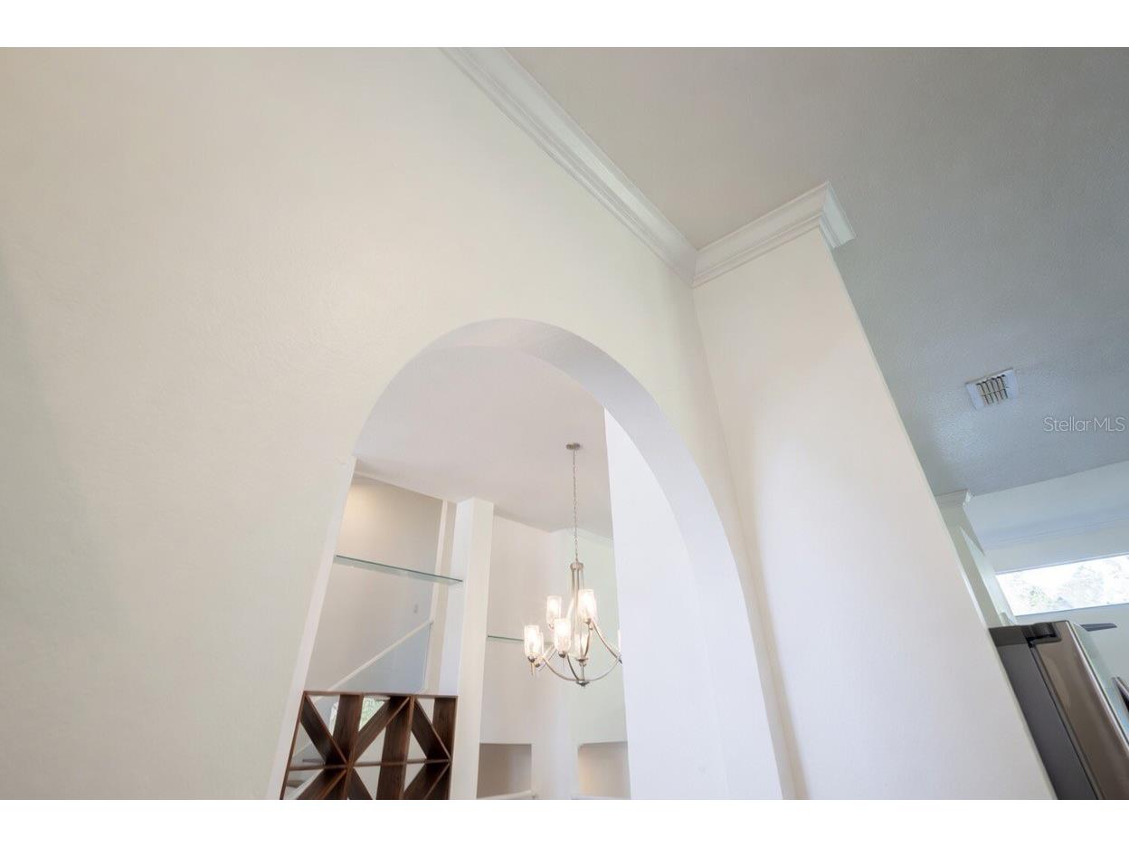 941 Bearded Oaks Terrace Longwood FL 32779 - LAKE BRANTLEY O6323408 image11