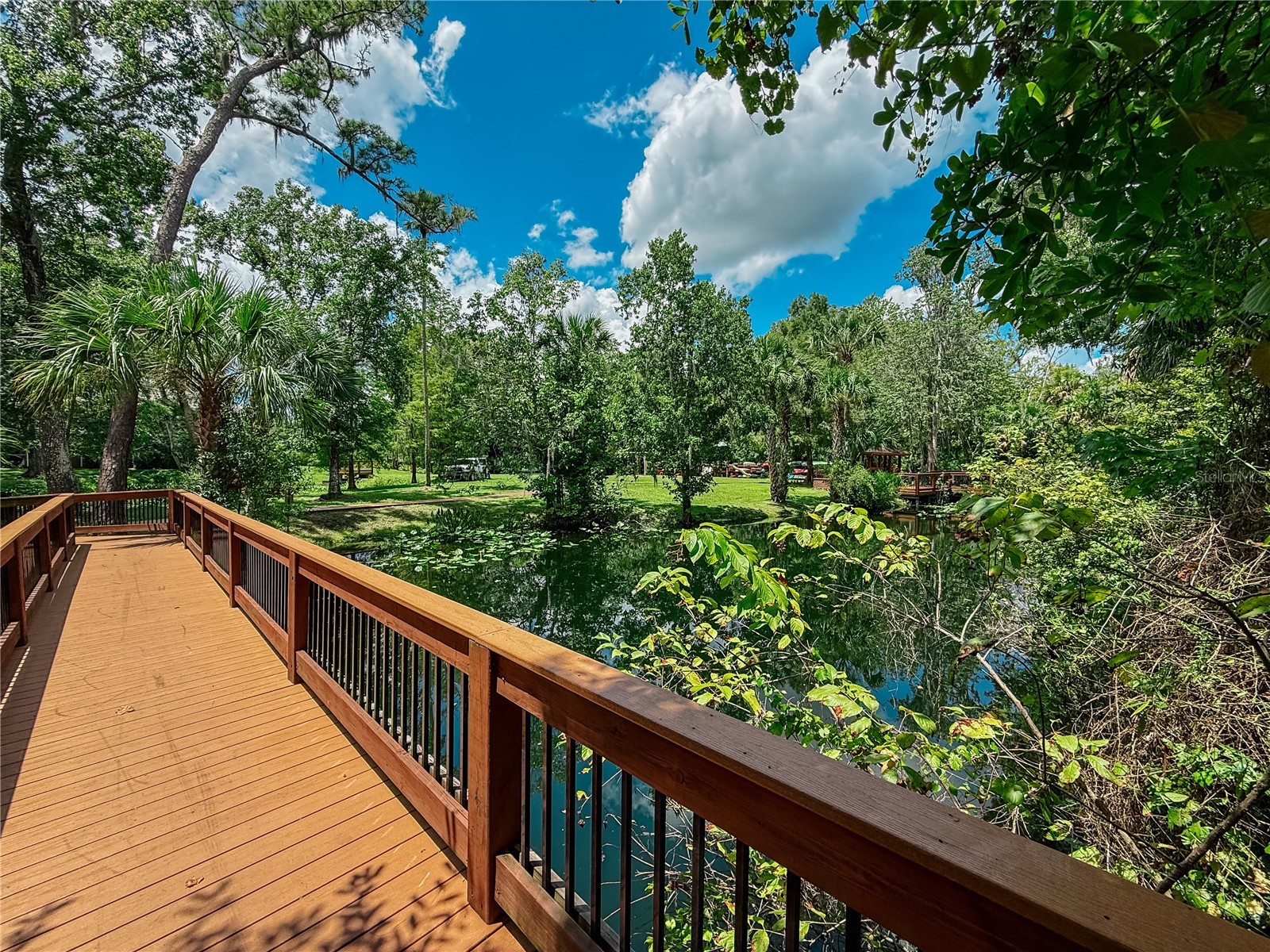 941 Bearded Oaks Terrace Longwood FL 32779 - LAKE BRANTLEY O6323408 image72