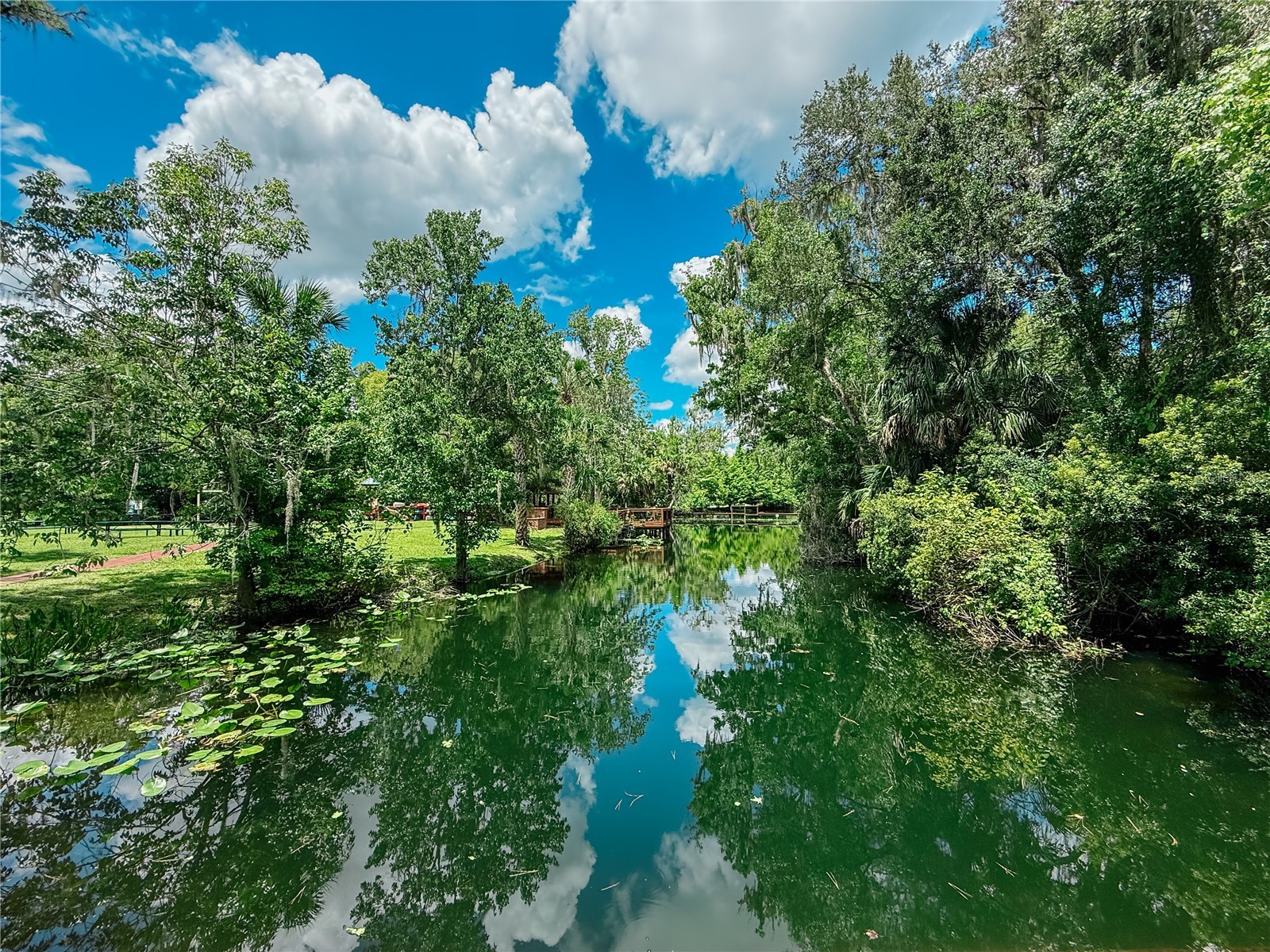 941 Bearded Oaks Terrace Longwood FL 32779 - LAKE BRANTLEY O6323408 image73
