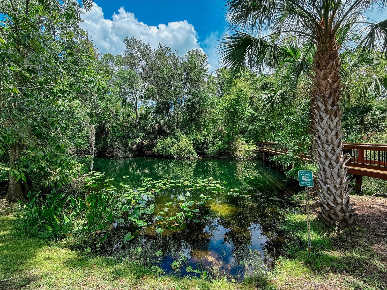 941 Bearded Oaks Terrace Longwood FL 32779 - LAKE BRANTLEY O6323408 image75