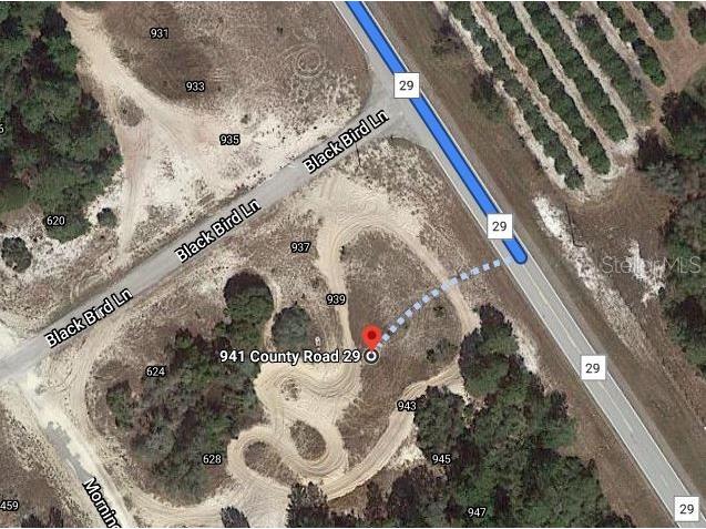 941 County Road 29 Lake Placid FL 33852 OM624603 image2