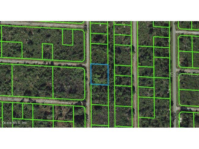 941 Davis Street Lake Placid FL 33852 OM543115 image1