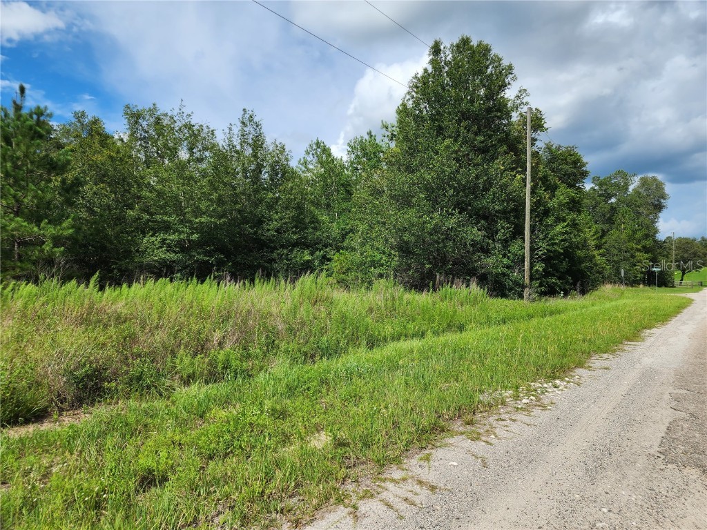 941 E Dellbrook Lane Citrus Springs FL 34434 G5070755 image1