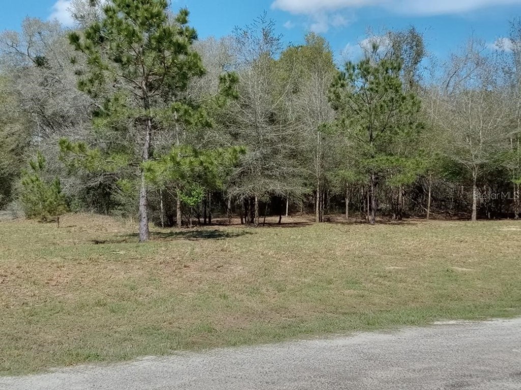 941 E Dellbrook Lane Citrus Springs FL 34434 OM674227 image1