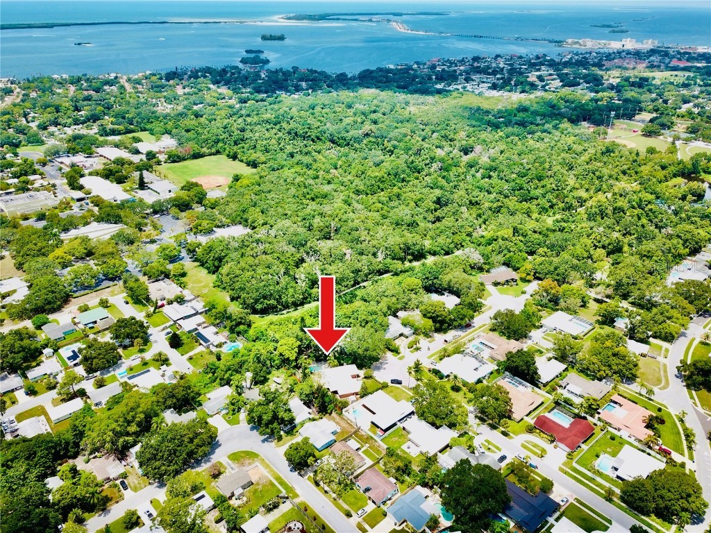 941 Mclean Street Dunedin FL 34698 U8252158 image1