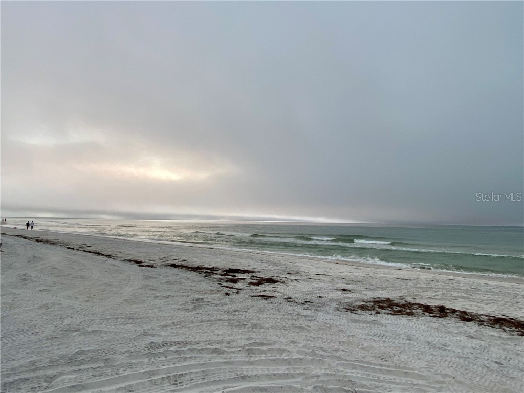 941 Palm Drive #1 Belleair Beach FL 33786 TB8442052 image28