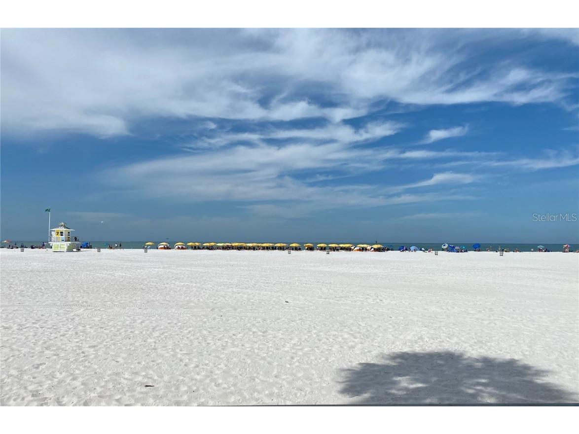 941 Palm Drive Belleair Beach FL 33786 TB8442021 image26