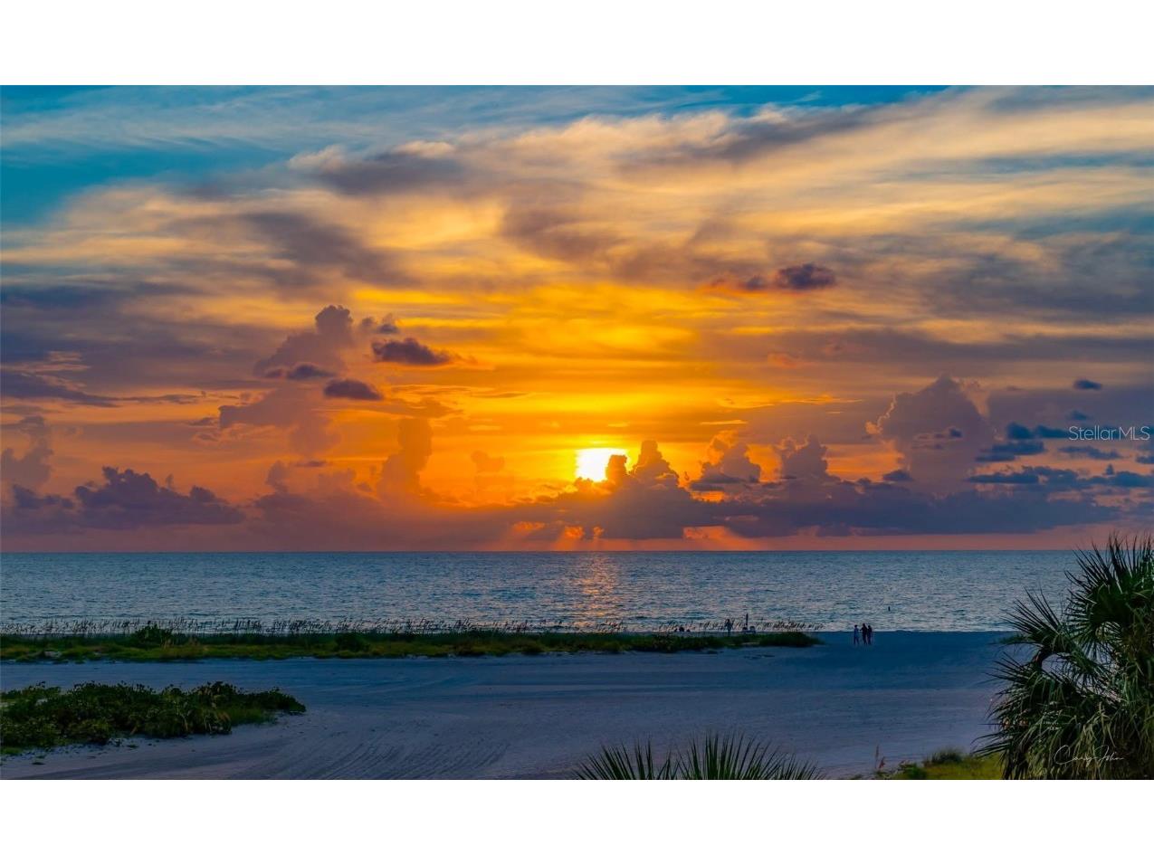 941 Palm Drive Belleair Beach FL 33786 TB8442021 image4