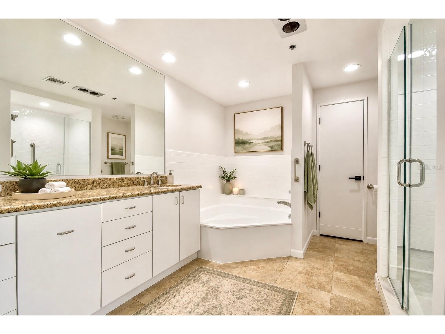 941 Seddon Cove Way Tampa FL 33602 TB8510152 image13