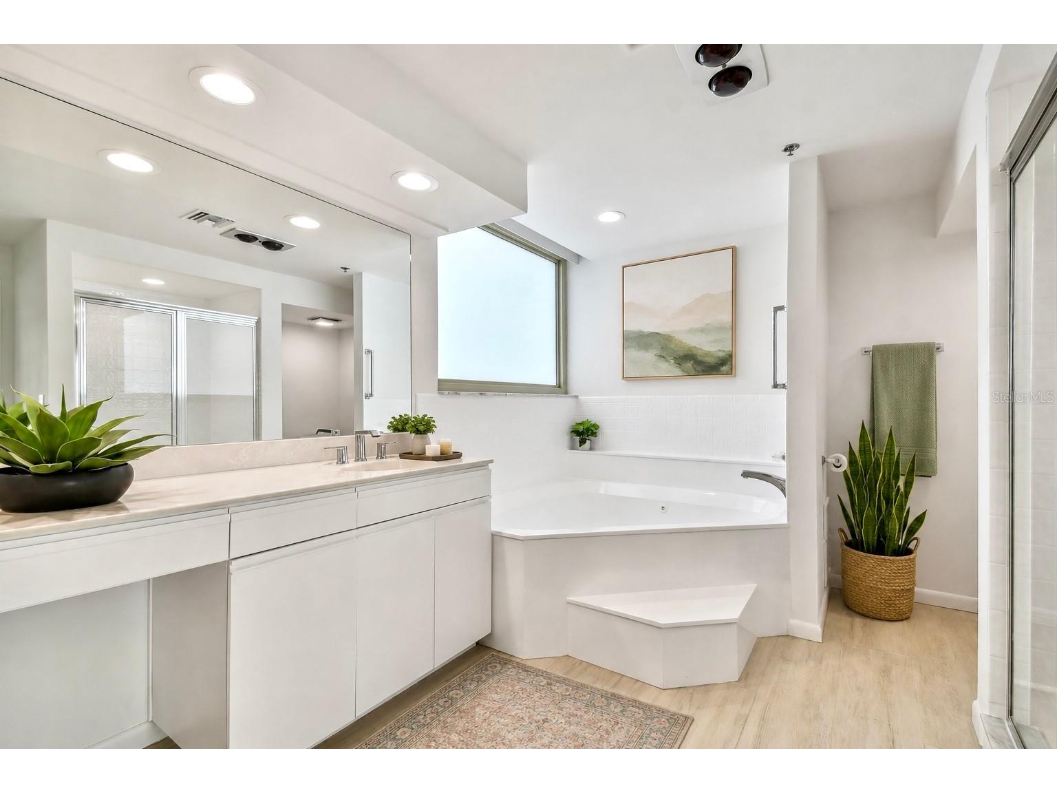 941 Seddon Cove Way Tampa FL 33602 TB8510152 image25
