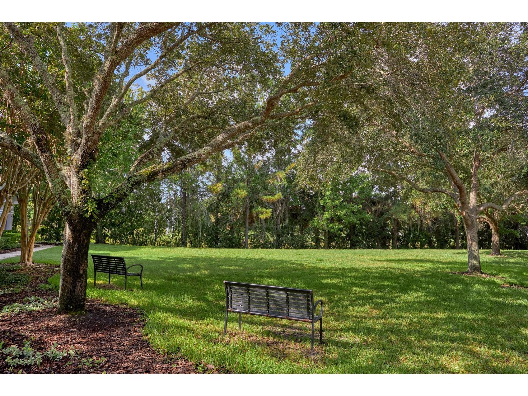 9410 Georgian Park Lane #105 Tampa FL 33626 TB8494483 image5
