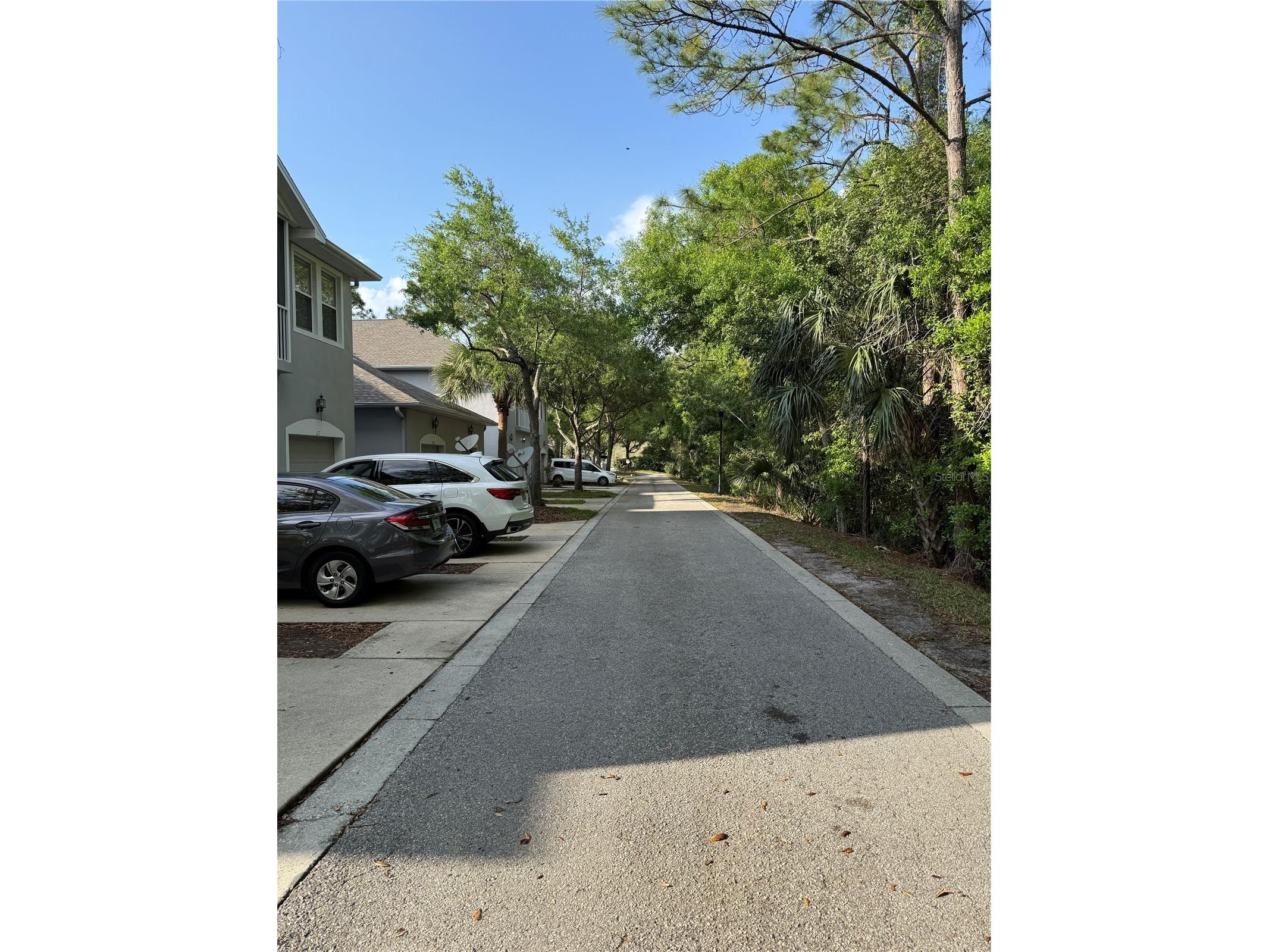 9410 Georgian Park Lane #110 Tampa FL 33626 TB8496351 image25