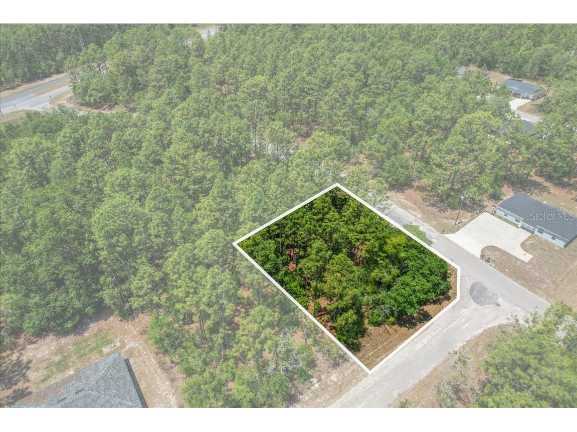 9410 N Peachtree Way Citrus Springs FL 34434 TB8381158 image1