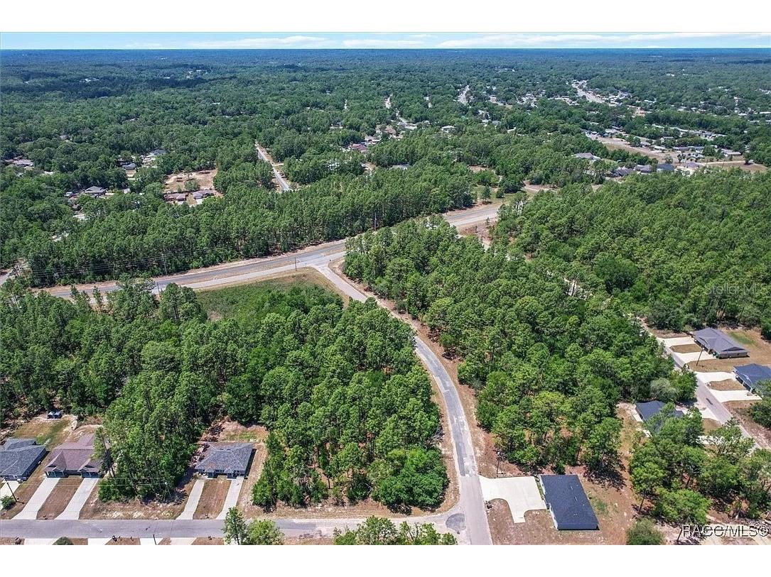 9410 N Peachtree Way Citrus Springs FL 34434 TB8450769 image10