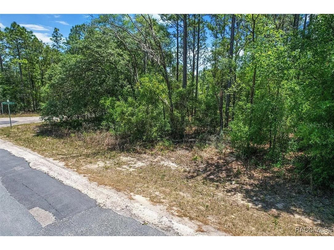 9410 N Peachtree Way Citrus Springs FL 34434 TB8450769 image11