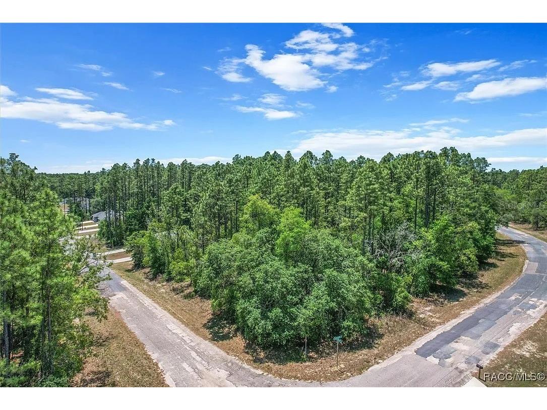 9410 N Peachtree Way Citrus Springs FL 34434 TB8450769 image12