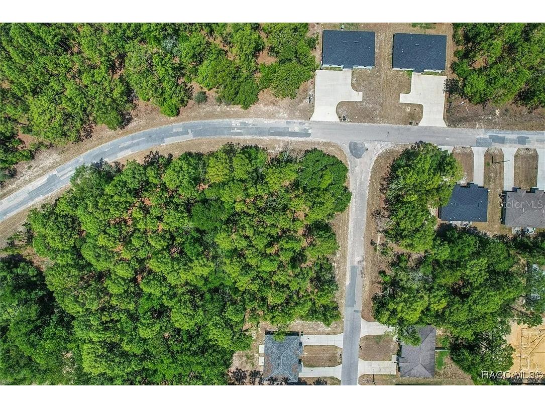 9410 N Peachtree Way Citrus Springs FL 34434 TB8450769 image13