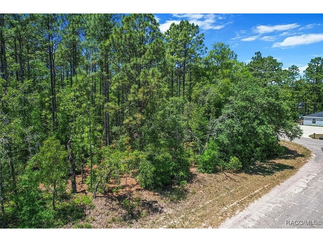 9410 N Peachtree Way Citrus Springs FL 34434 TB8450769 image14