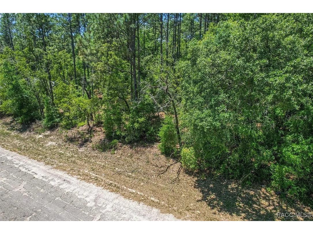 9410 N Peachtree Way Citrus Springs FL 34434 TB8450769 image15