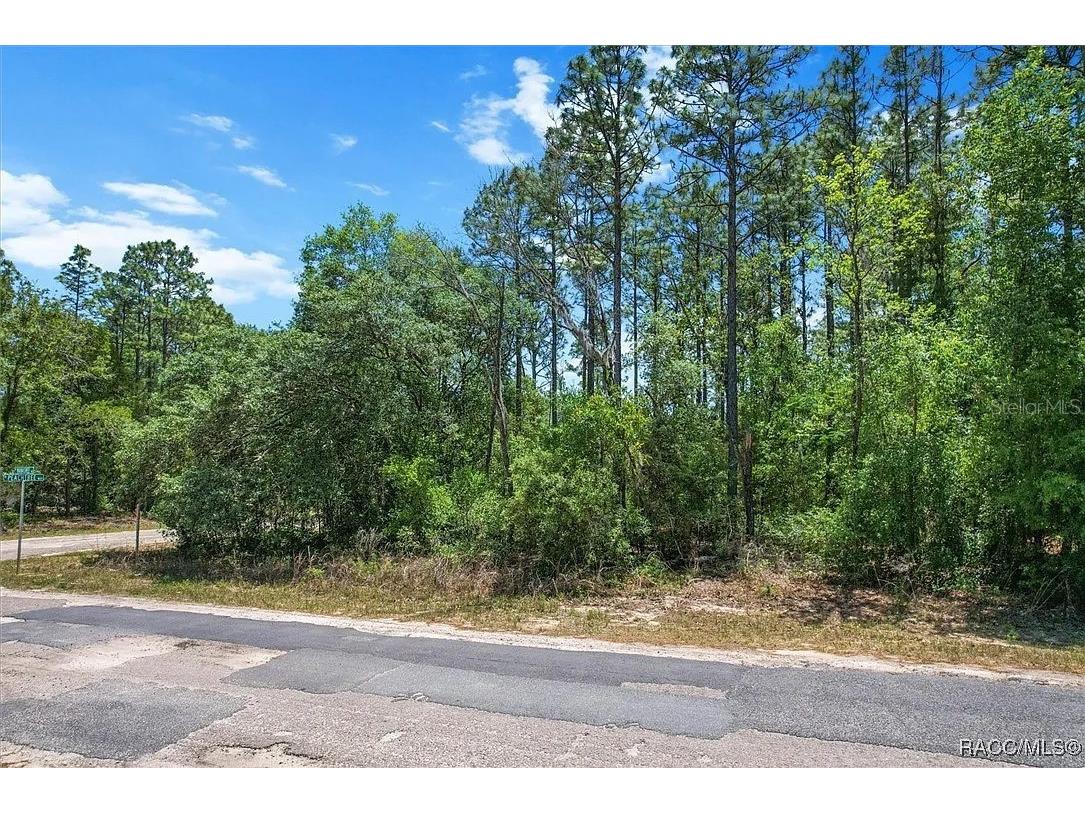 9410 N Peachtree Way Citrus Springs FL 34434 TB8450769 image3