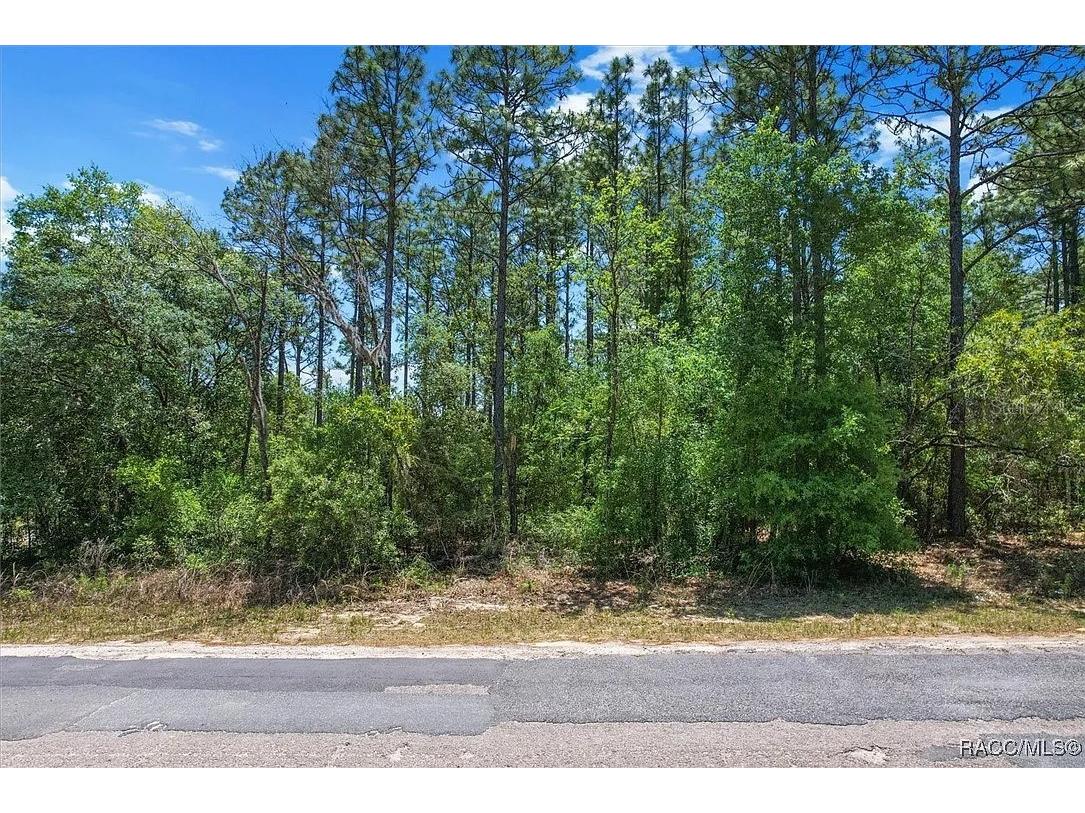 9410 N Peachtree Way Citrus Springs FL 34434 TB8450769 image6