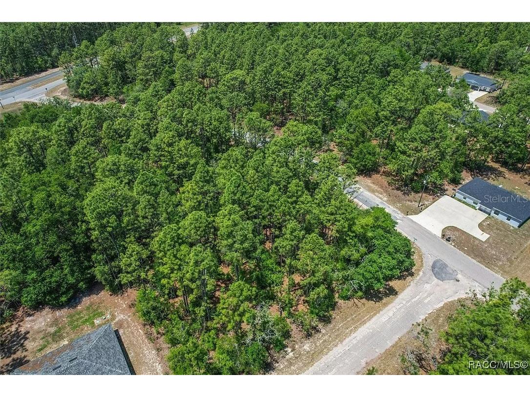 9410 N Peachtree Way Citrus Springs FL 34434 TB8450769 image7