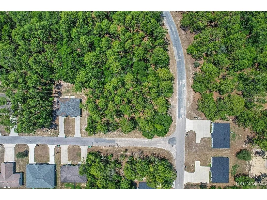 9410 N Peachtree Way Citrus Springs FL 34434 TB8450769 image8