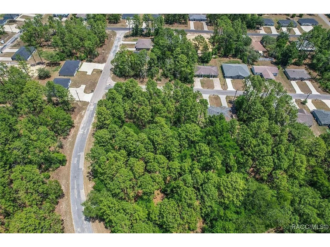 9410 N Peachtree Way Citrus Springs FL 34434 TB8450769 image9