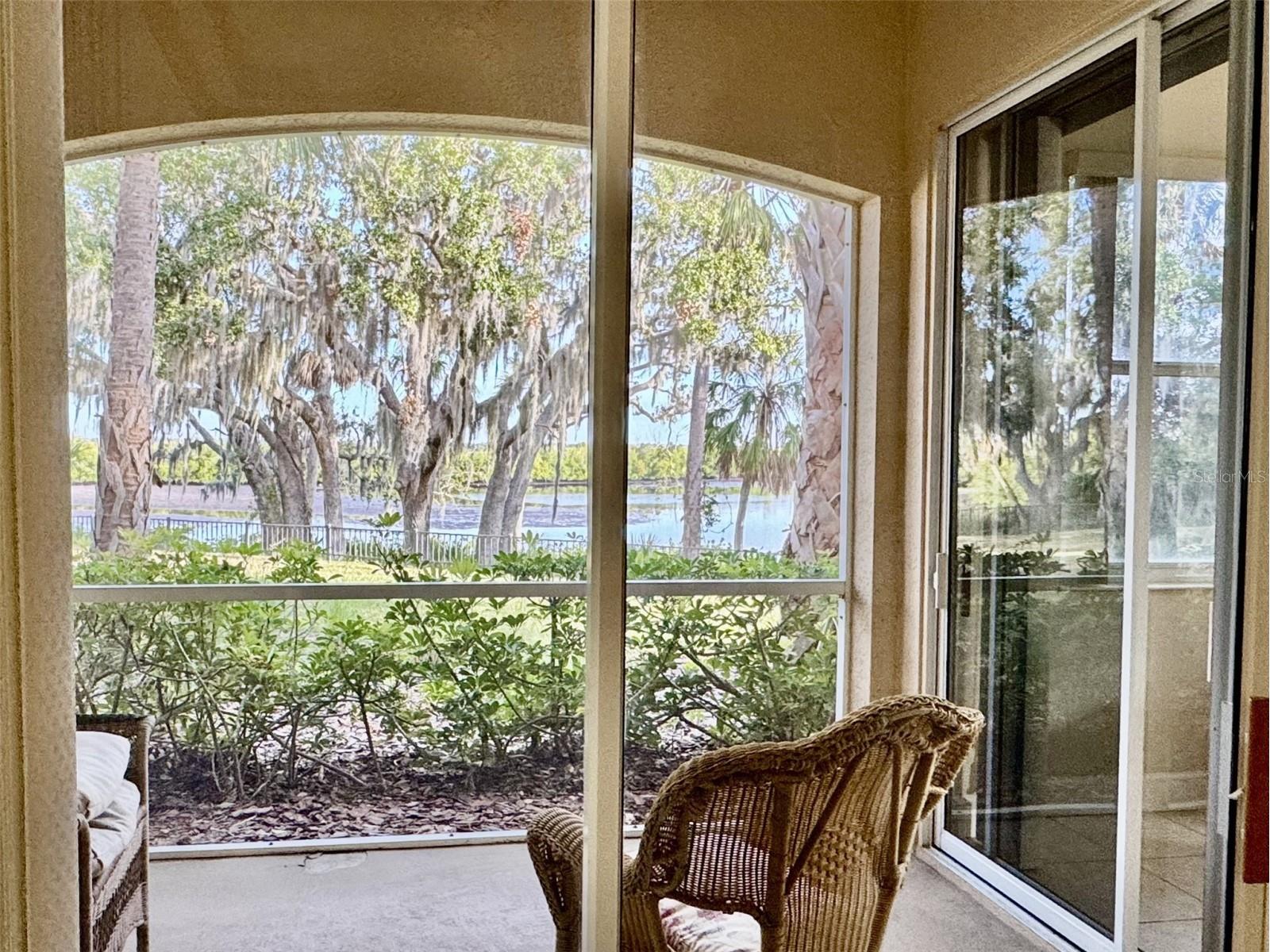 9411 Discovery Terrace #102B Bradenton FL 34212 - MANATEE RIVER A4680564 image2