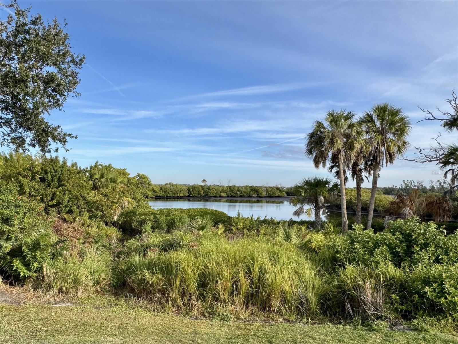 9411 Discovery Terrace #102B Bradenton FL 34212 - MANATEE RIVER A4680564 image32