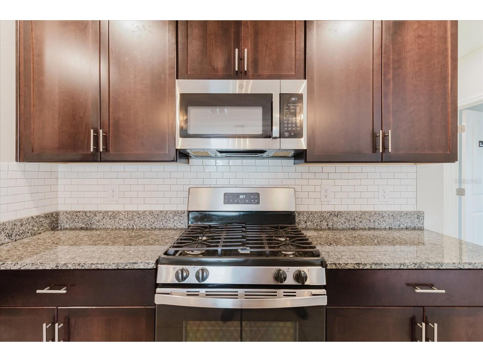 9411 Lemon Drop Loop Sun City Center FL 33573 TB8482162 image13
