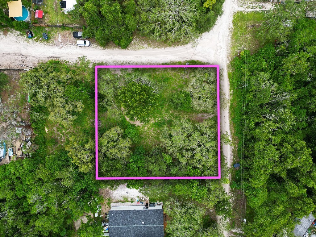 9412 Labelle Street New Port Richey FL 34654 TB8407922 image3