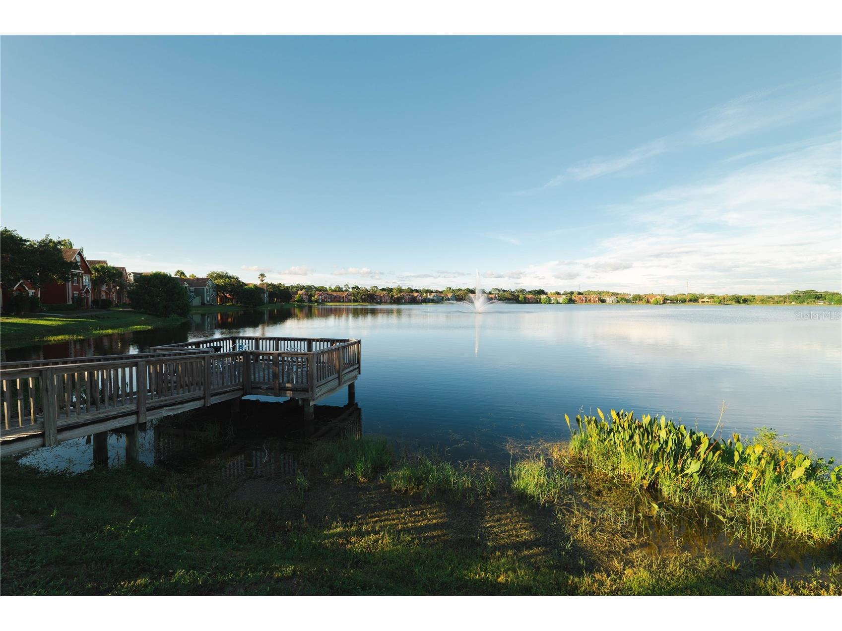 9412 Lake Chase Island Way #9412 Tampa FL 33626 TB8486077 image37