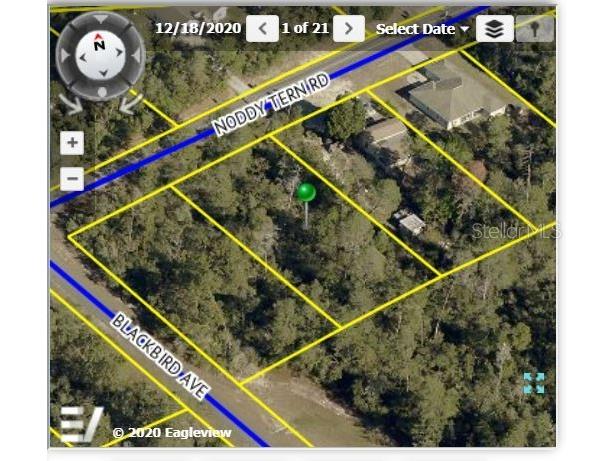 9412 Noddy Tern Road Weeki Wachee FL 34613 W7847222 image1