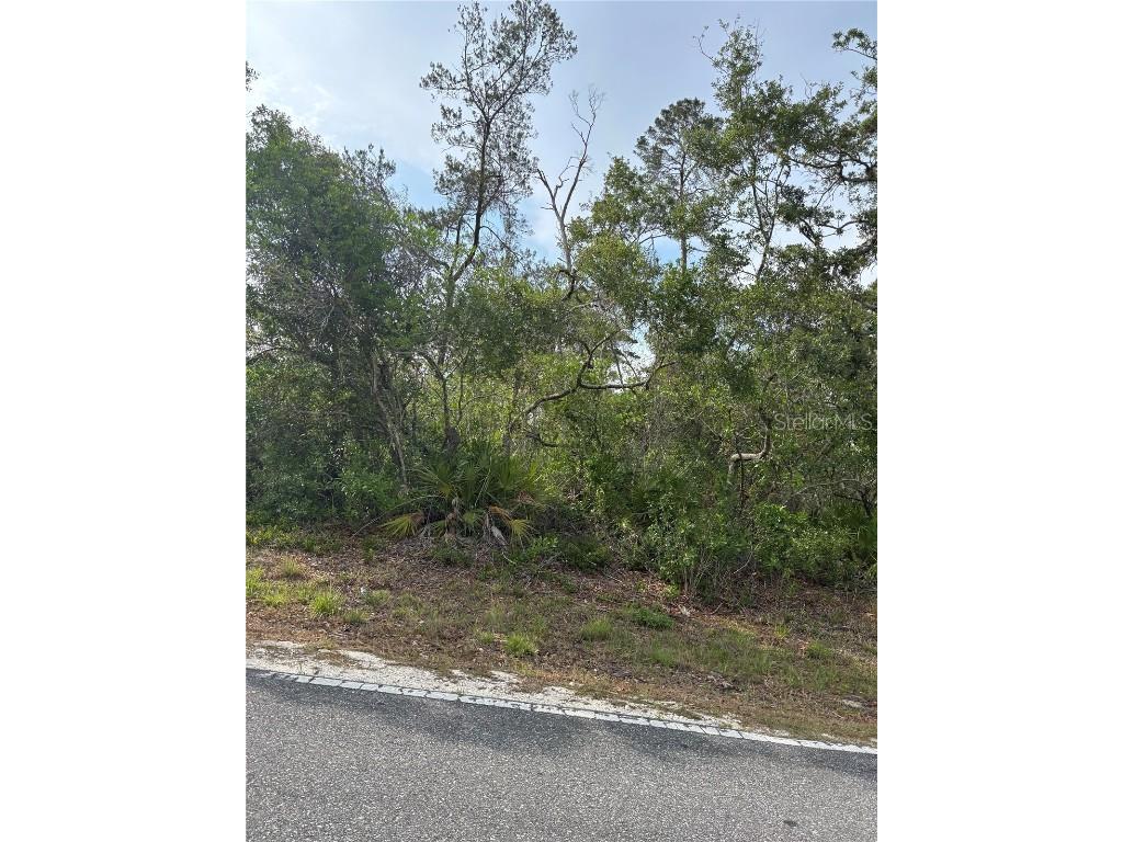 9412 Noddy Tern Road Weeki Wachee FL 34613 W7875436 image1