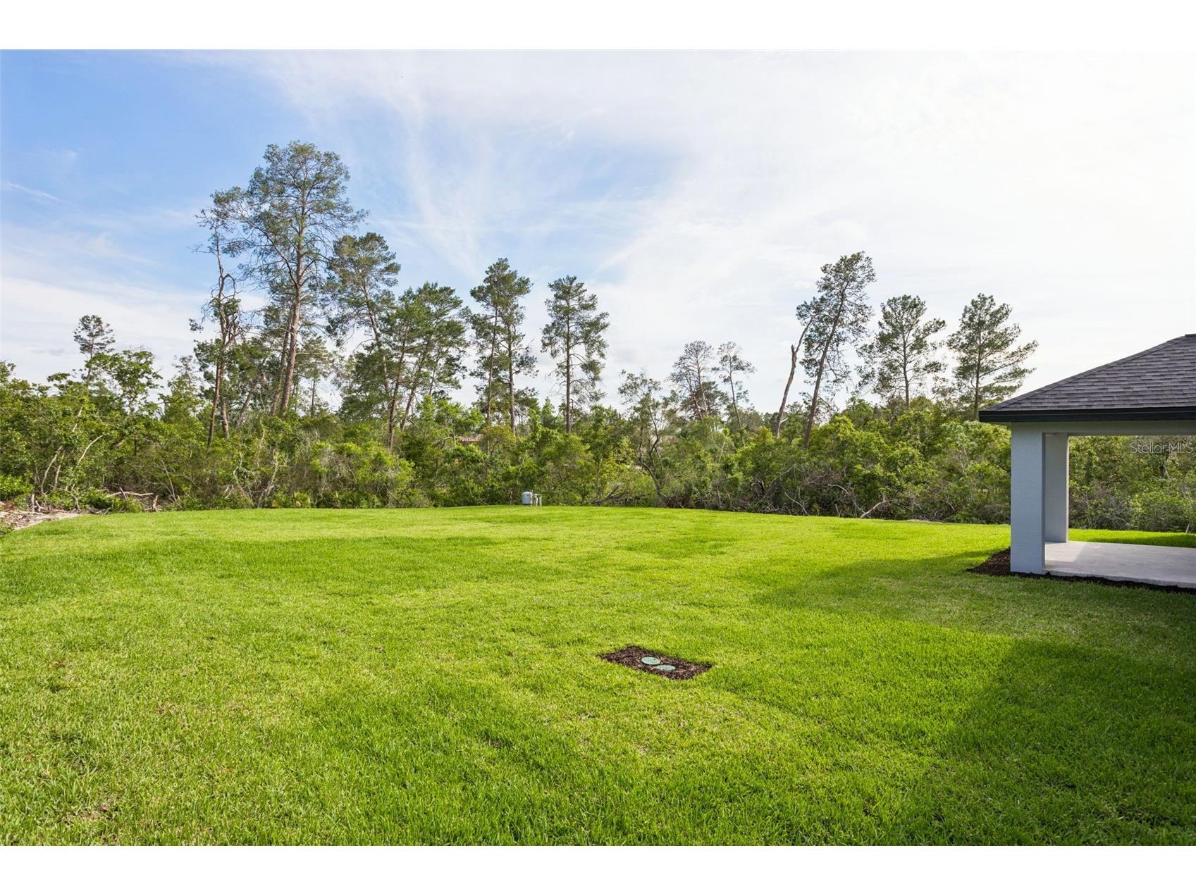 9412 Noddy Tern Road Weeki Wachee FL 34613 W7885012 image35