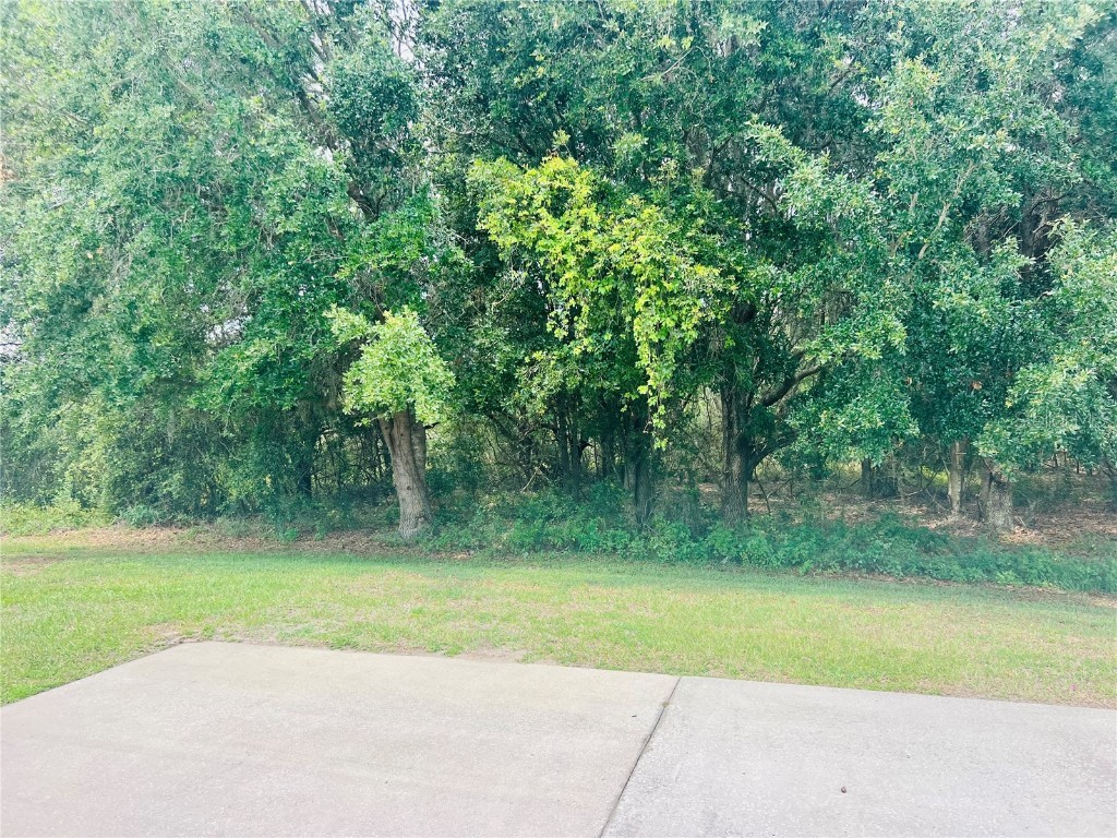 9413 SE 49th Terrace Webster FL 33597 G5096892 image6