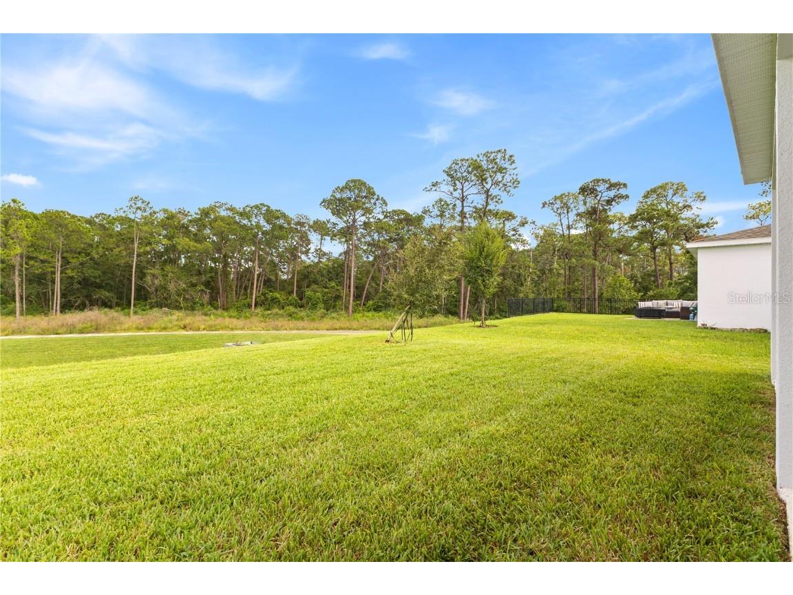 9414 Emerald Berry Drive Winter Garden FL 34787 O6348107 image36