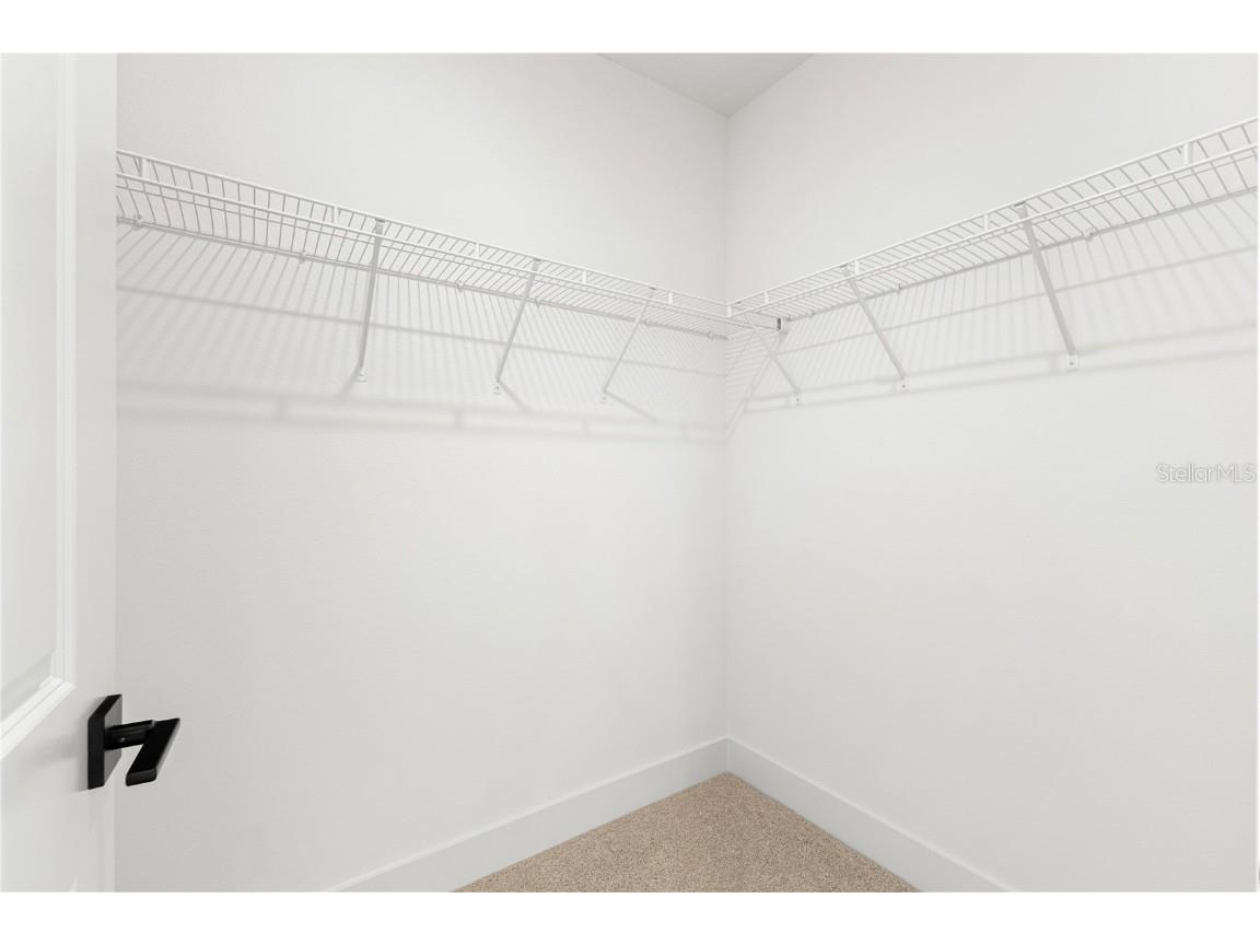 9414 Emerald Berry Drive Winter Garden FL 34787 O6348107 image55