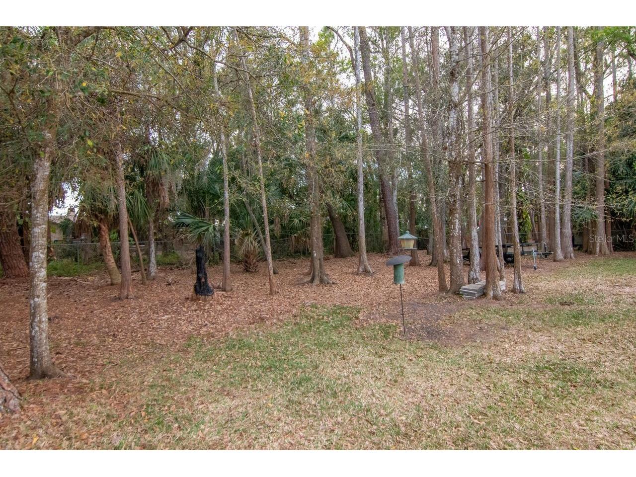 9414 Sacramento Drive New Port Richey FL 34655 TB8483240 image39