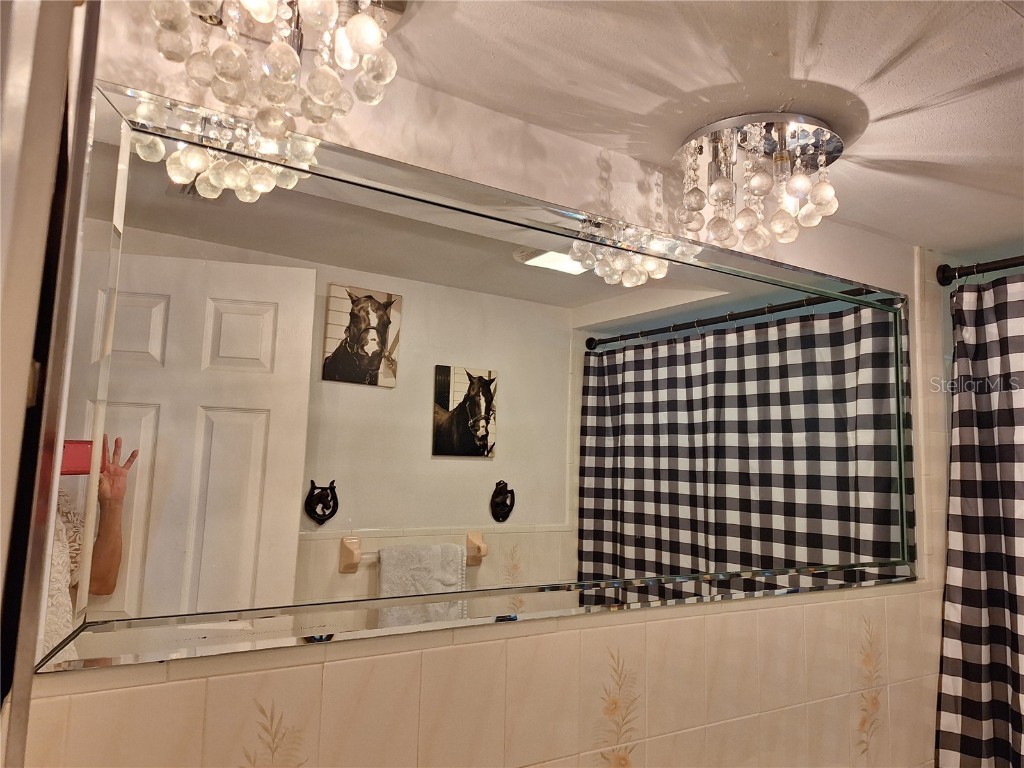 9415 Indale Drive New Port Richey FL 34654 W7880066 image42