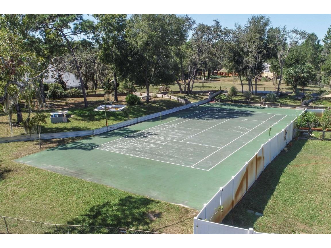 9415 Indale Drive New Port Richey FL 34654 W7880066 image5