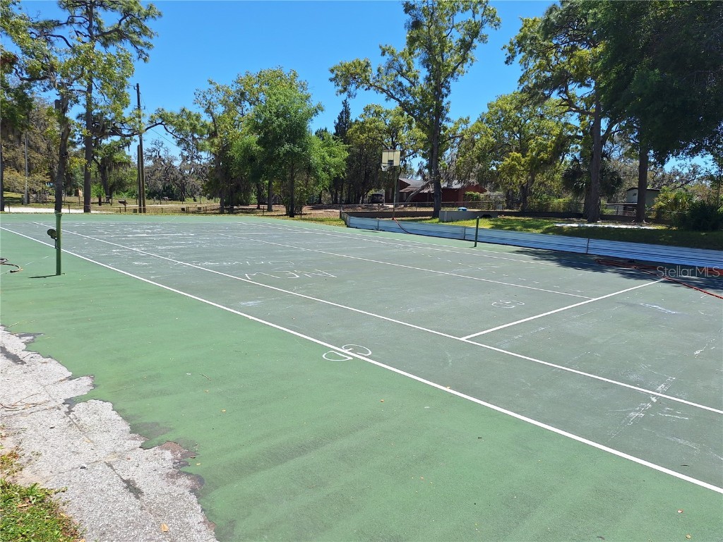 9415 Indale Drive New Port Richey FL 34654 W7880066 image51