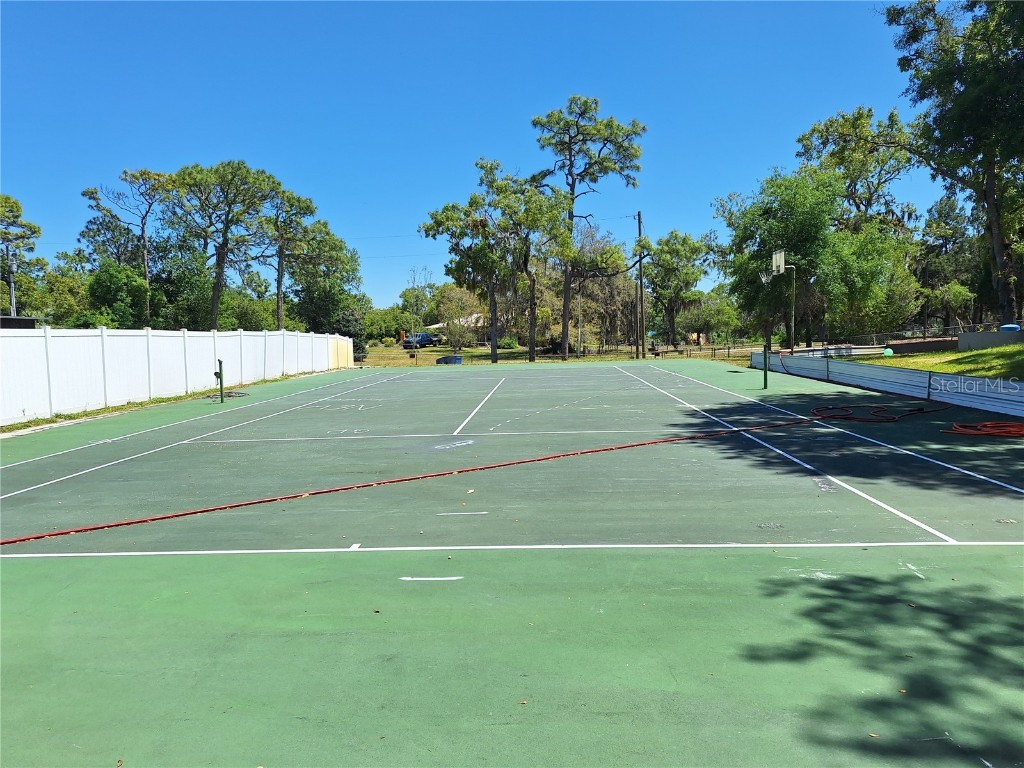 9415 Indale Drive New Port Richey FL 34654 W7880066 image6