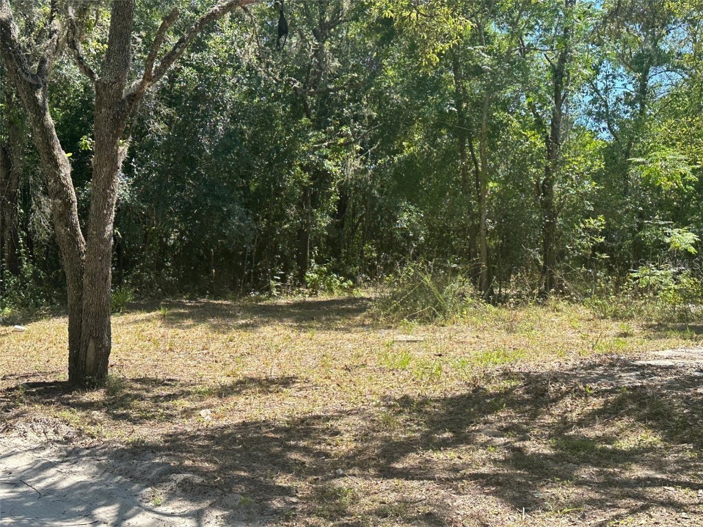 9415 Kissimmee Street New Port Richey FL 34654 U8241280 image1