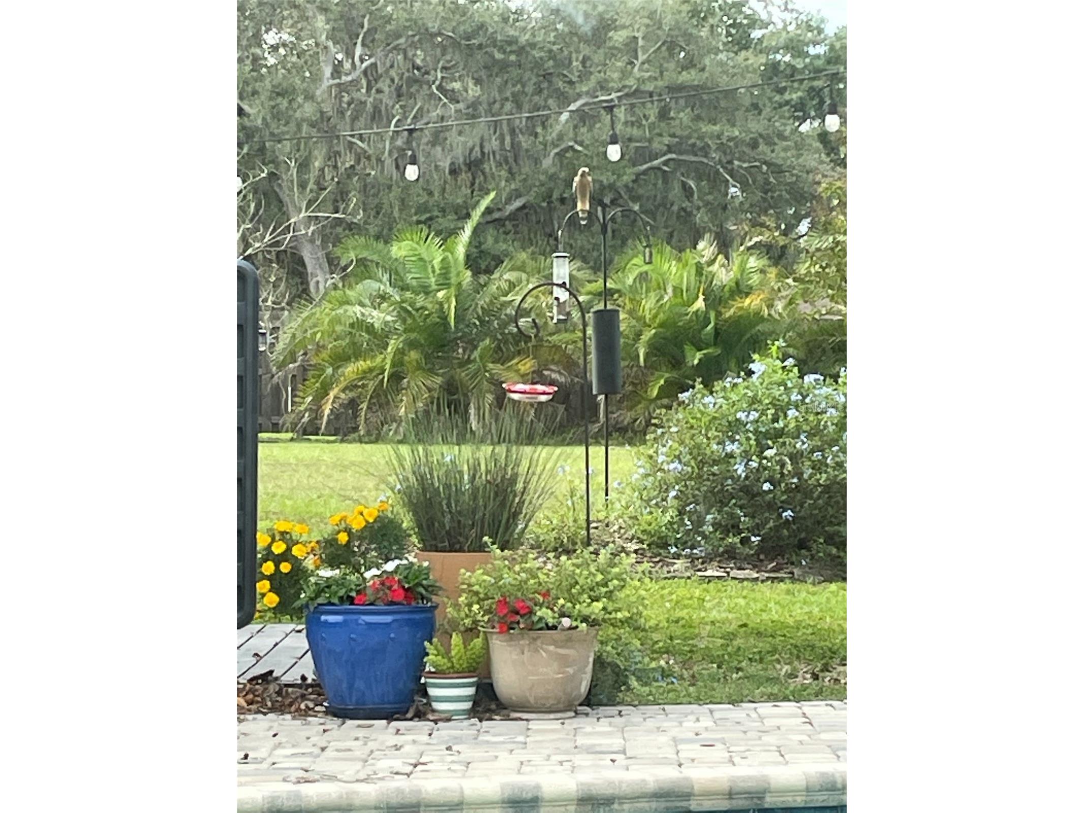 9416 Bellhaven Street Temple Terrace FL 33637 TB8481954 image28