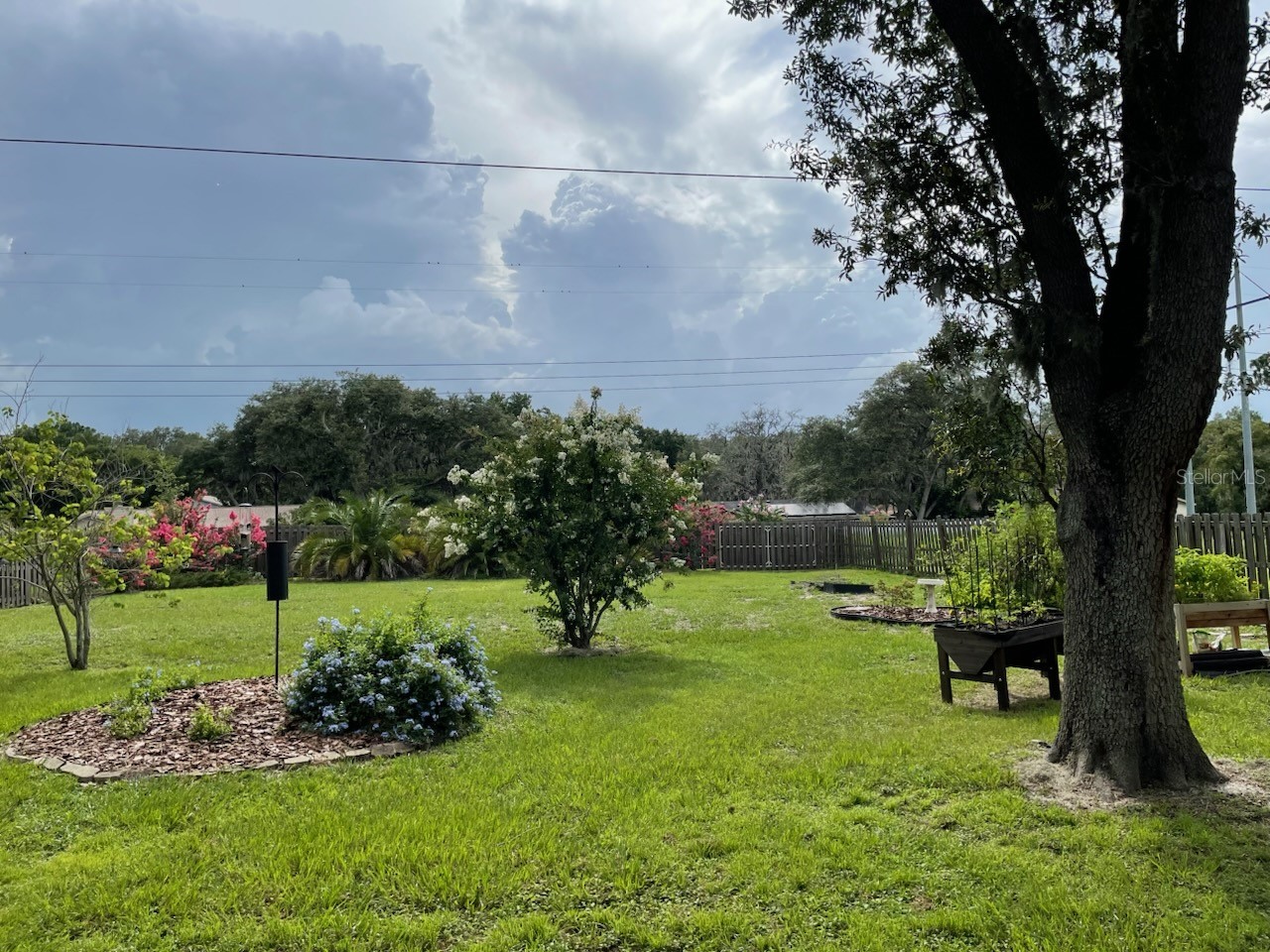 9416 Bellhaven Street Temple Terrace FL 33637 TB8481954 image53
